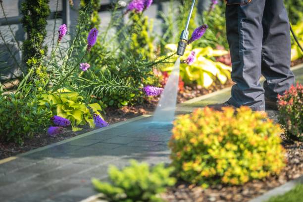 Best Commercial Pressure Washing in Greenville, GA